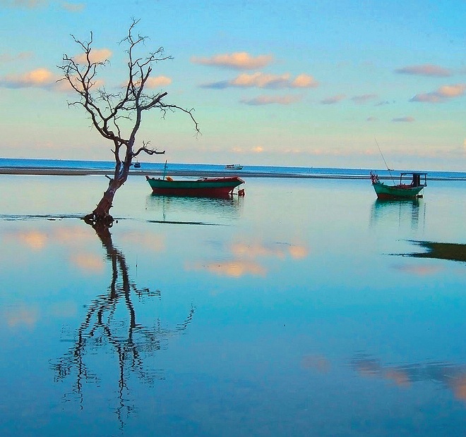 Ký ức xanh nuôi lớn những tâm hồn