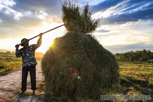 Thơ thiếu nhi chọn lời bình: Cây rơm