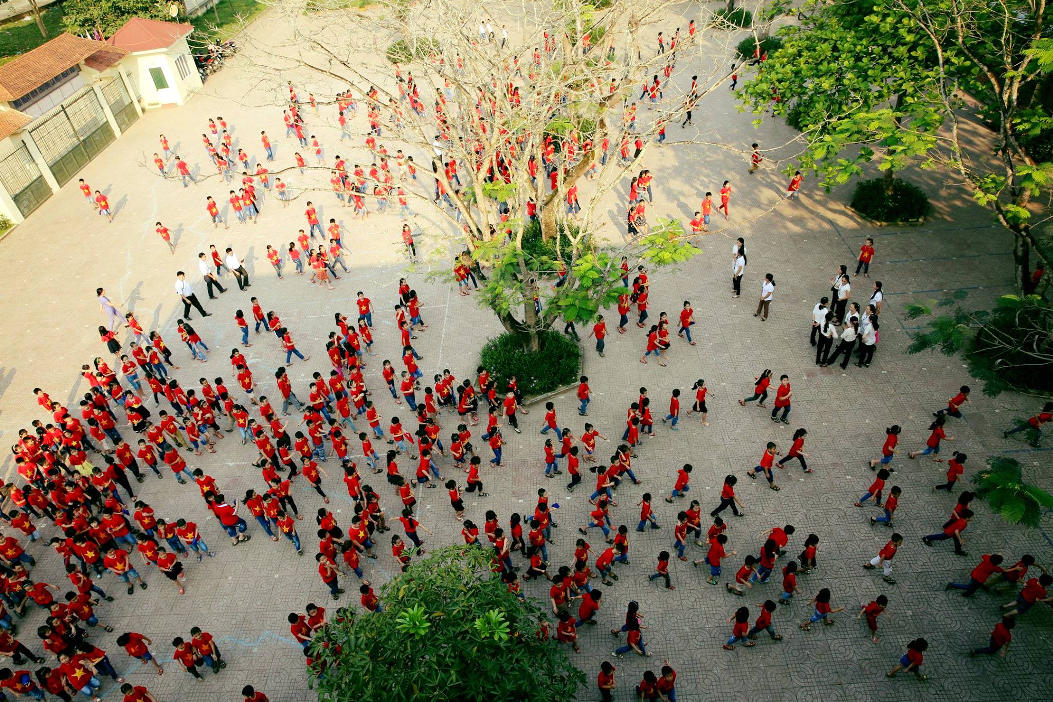 Tiếng trống trường đã điểm chưa em...