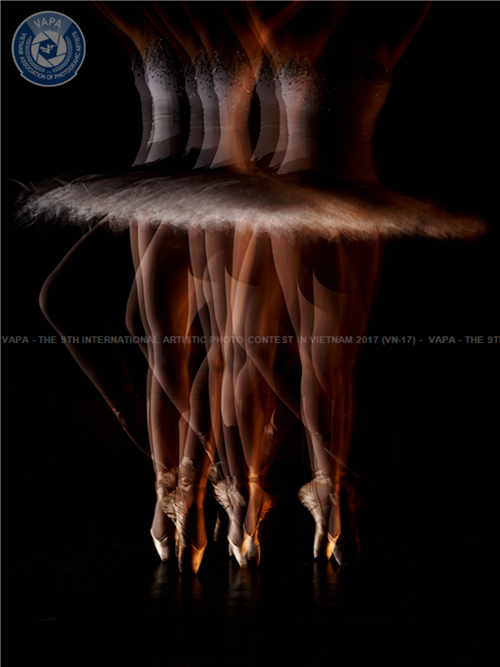 Việt Nam giành 4 giải tại Cuộc thi ảnh nghệ thuật quốc tế lần thứ 9