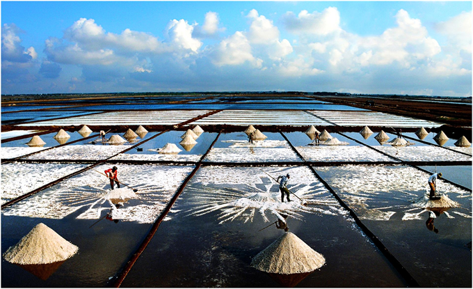 Việt Nam giành 18 giải thưởng tại cuộc thi “Chrysalis Photo Circuit - CPC 2017” tại Singapore
