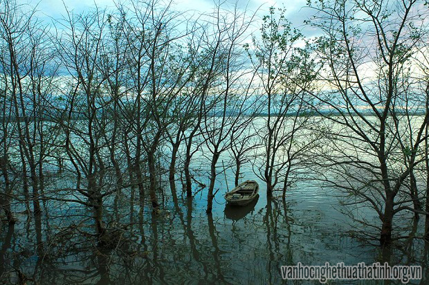 Chùm thơ của tác giả Lê Đắc Thanh 