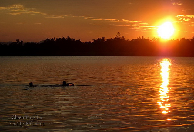 Chùm thơ của nhiều tác giả