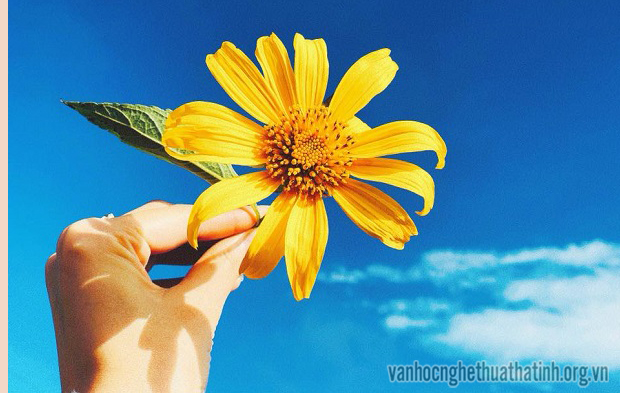 Thơ thiếu nhi chọn lời bình: Trời xanh của mỗi người