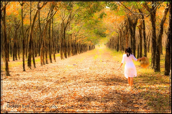 Thơ chọn và lời bình: Khi mùa thu sang