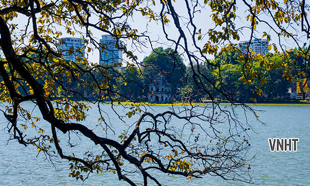 Tản văn CHỚM ĐÔNG của Đinh Thu Huế - Văn nghệ Hà Tĩnh