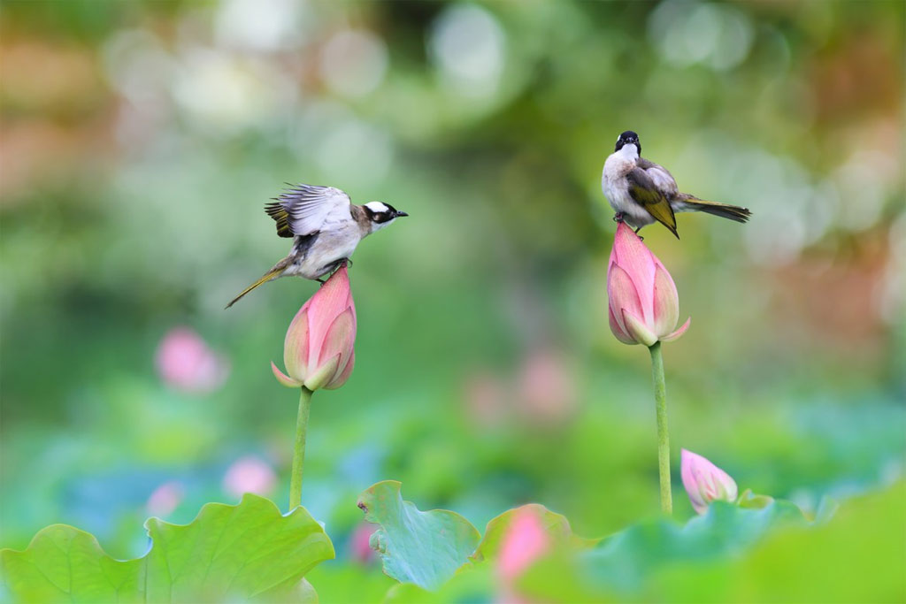 Thơ chọn và lời bình: Chiều cuối năm