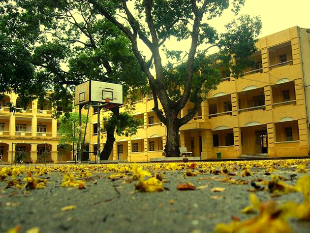 Tản văn LÁ XÀ CỪ của tác giả Phan Thị Hồng Cẩm