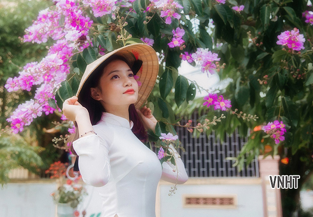 Tản văn THƯƠNG MÀU BẰNG LĂNG của tác giả Đinh Thu Huế