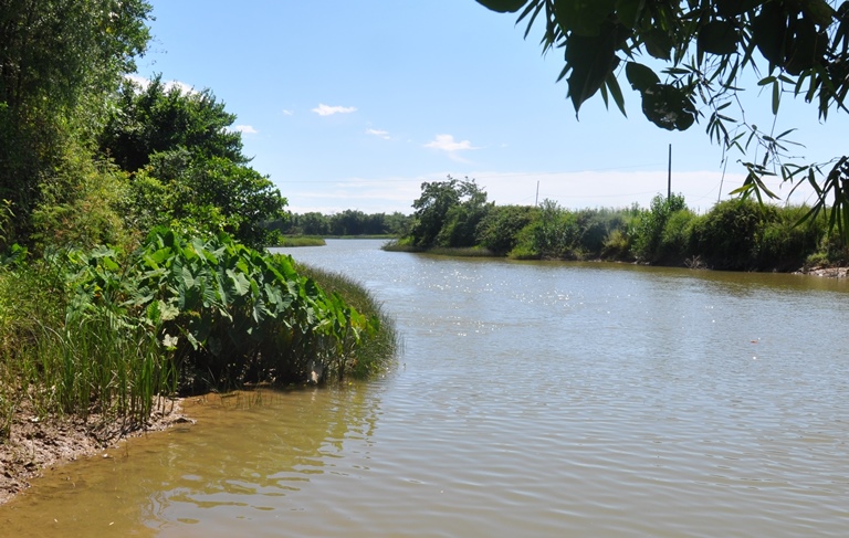 Tản văn Dòng sông quê hương của tác giả Linh Châu