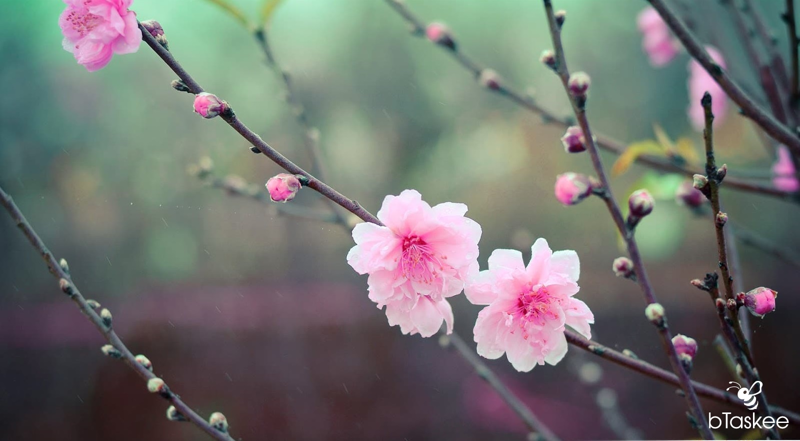 THƯ MỜI CỘNG TÁC VIẾT BÀI CHO  TẠP CHÍ HỒNG LĨNH SỐ XUÂN TÂN SỬU  2021