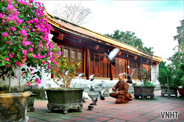 Chùm ảnh về chùa Tượng Sơn của NSNA Đậu Bình