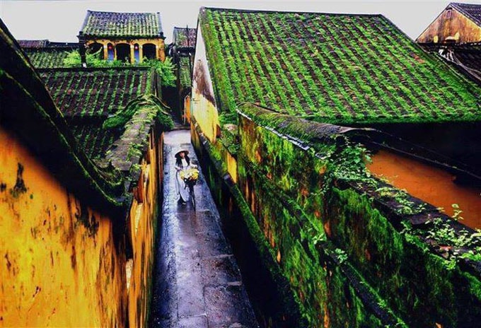 Tản văn Lời rêu của tác giả Hồ Minh Thông