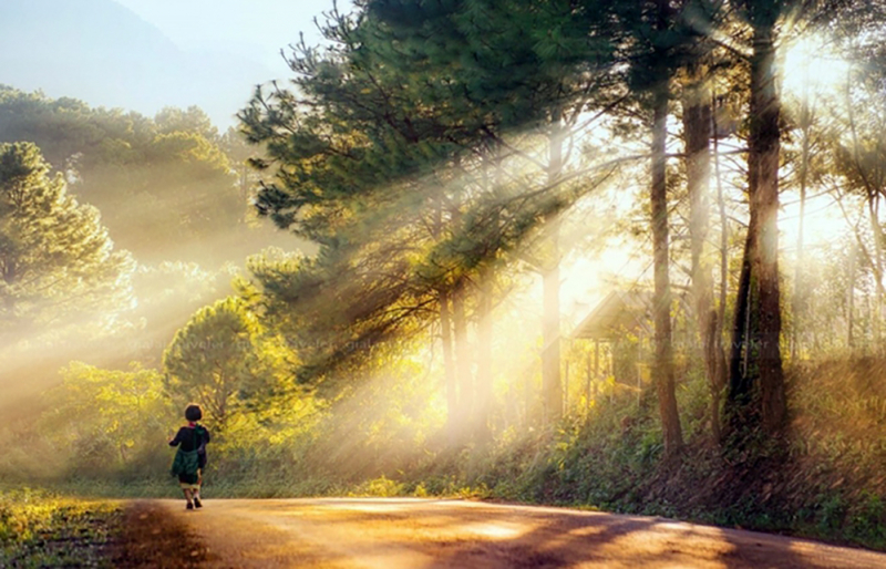  Tản văn Màu của nắng của tác giả Nguyễn Hằng