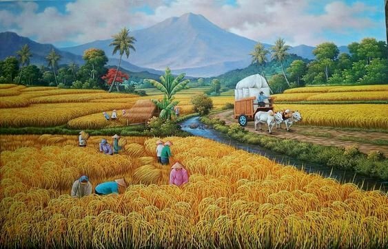 Tản văn Gặt lúa mùa thu của tác giả Lê Thị Xuân
