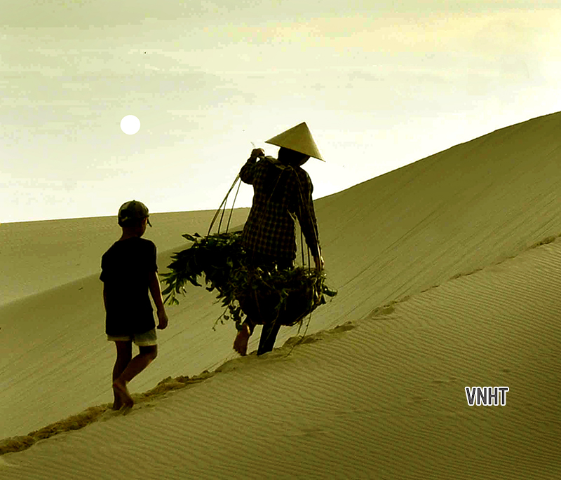 Trang thơ các tác giả nữ nhân Ngày Phụ nữ Việt Nam 20/10