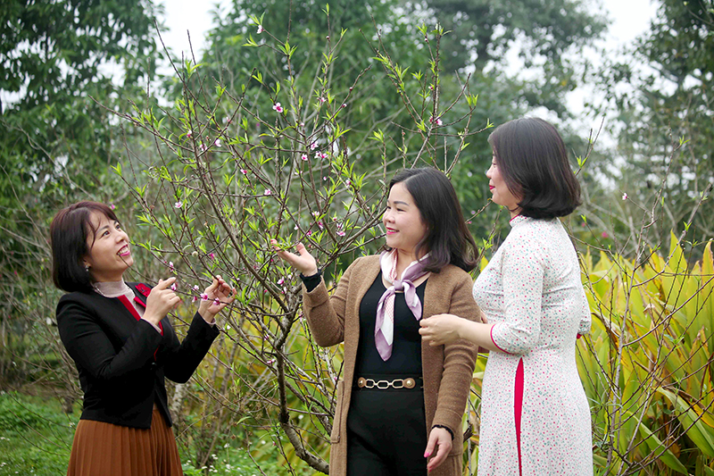 Trang thơ trên Tạp chí Hồng Lĩnh số 229 (phần 1)