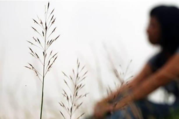 Truyện ngắn MÙA CỎ MAY của Phan Ngân Hà