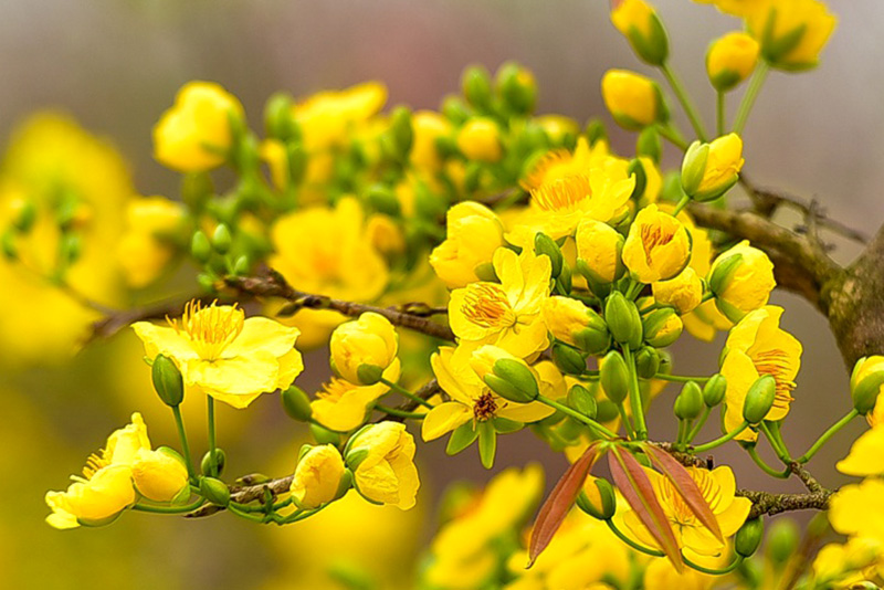Trang thơ trên Tạp chí Hồng Lĩnh Tết Bính Ngọ 2026 (phần 1)