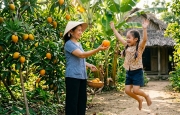 Tản văn Nhớ lắm cây trứng gà của tác giả Lê Thị Xuân Tản văn Nhớ lắm cây trứng gà của tác giả Lê Thị Xuân